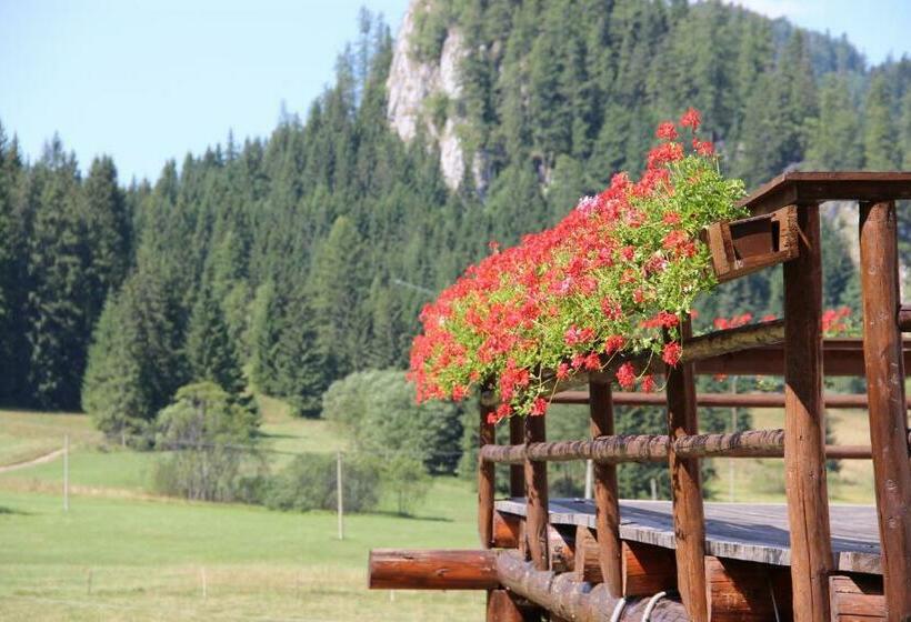 펜션 Penzión ľadová