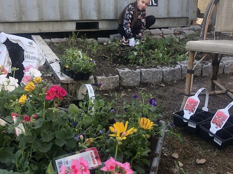 Arkadia Hotel & Hostel