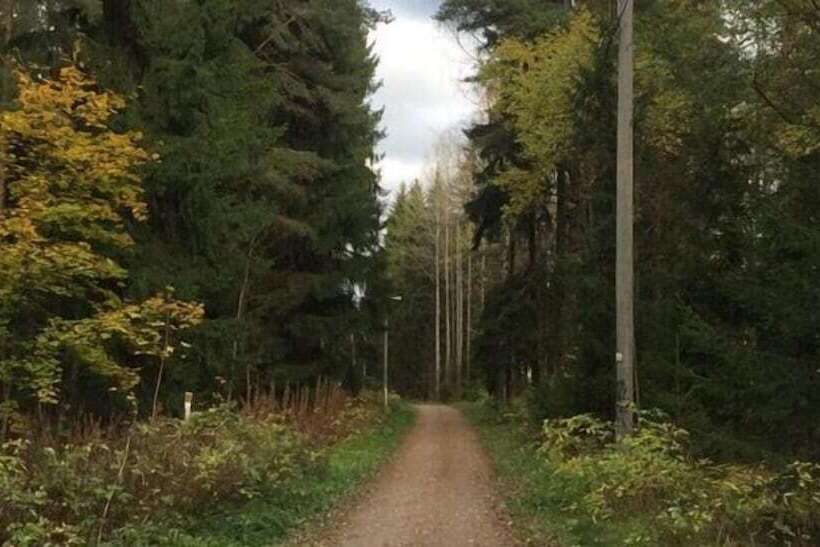 Arkadia Hotel & Hostel