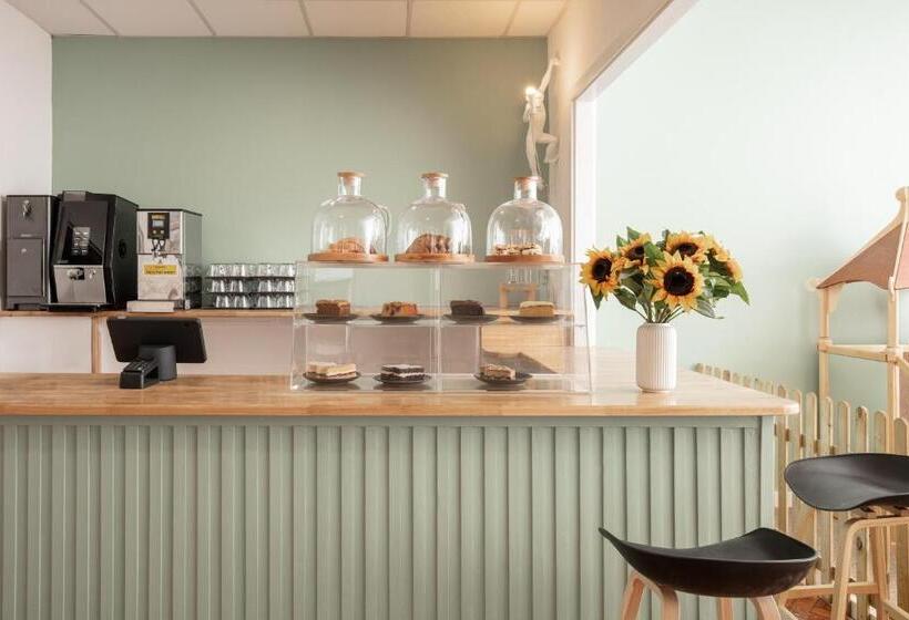 هتل Discovery Accommodation