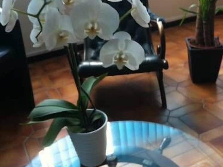 ホテル Hôtel De La Mer