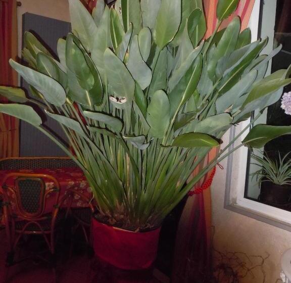 Отель La Croix Blanche