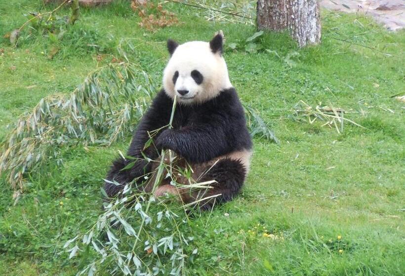 Отель La Croix Blanche