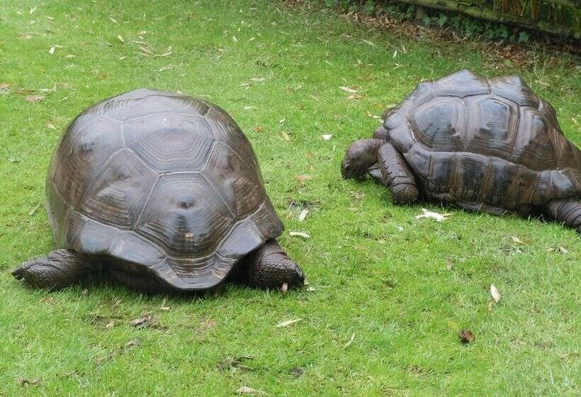 Отель La Croix Blanche