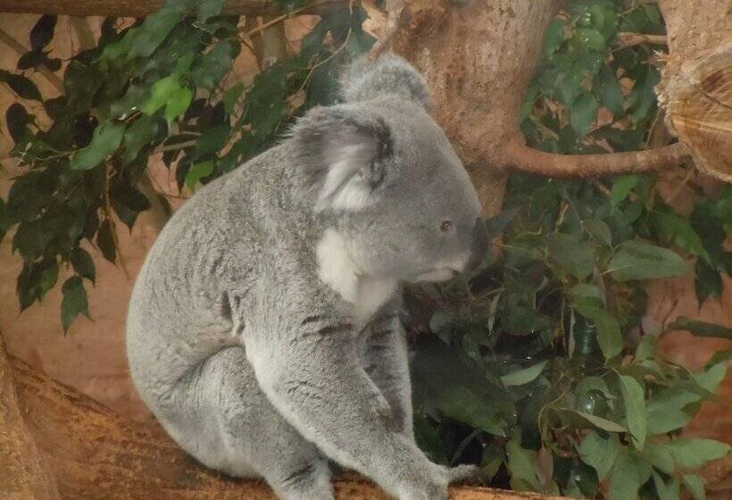 Отель La Croix Blanche