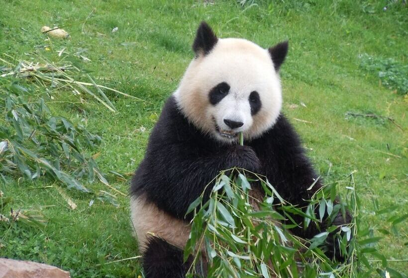 Отель La Croix Blanche