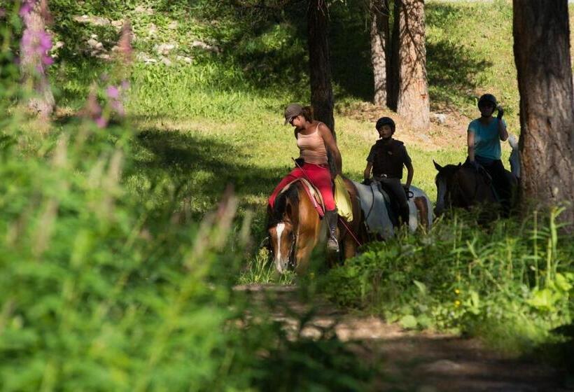 בית מלון כפרי & Restaurant Les Escondus