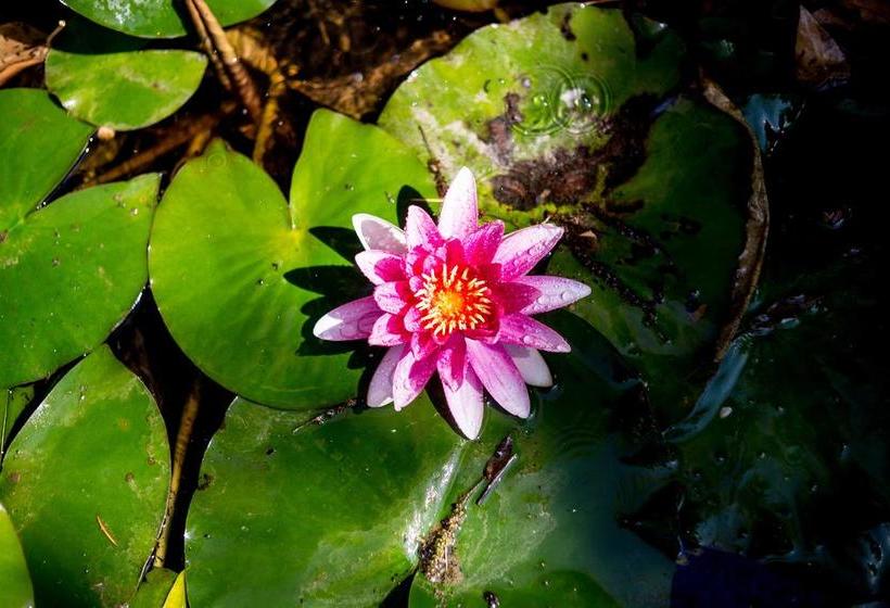 Country Hotel Le Rocce