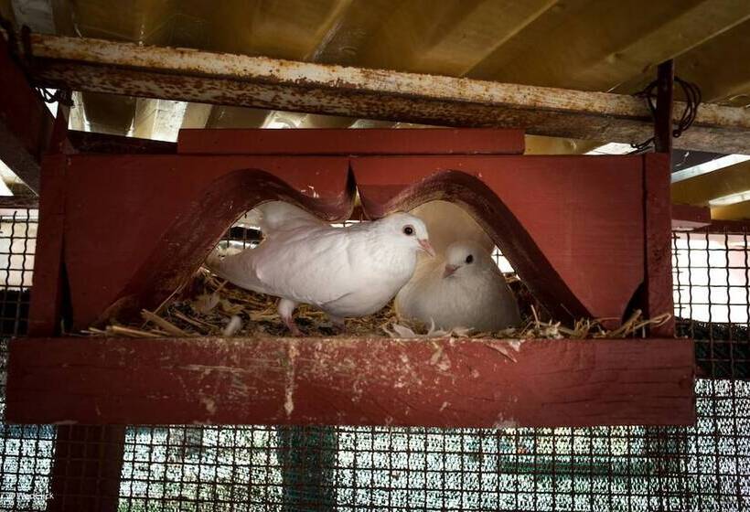 酒店 Agriturismo La Meridiana