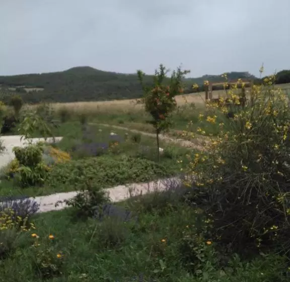 ホテル Agriturismo Pian Di Meta Vecchia