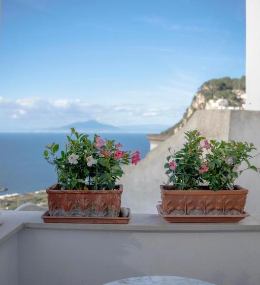 هتل Albergo La Prora