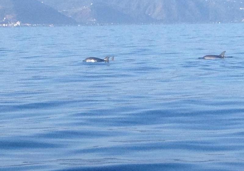 בית מלון כפרי B&b Ondazzurra