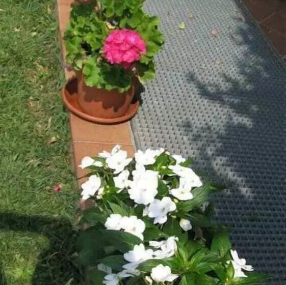 Hotelli B&b Villa Patrizia