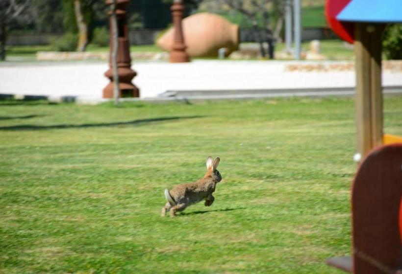 酒店 Casa Vacanze Residenza Bocci