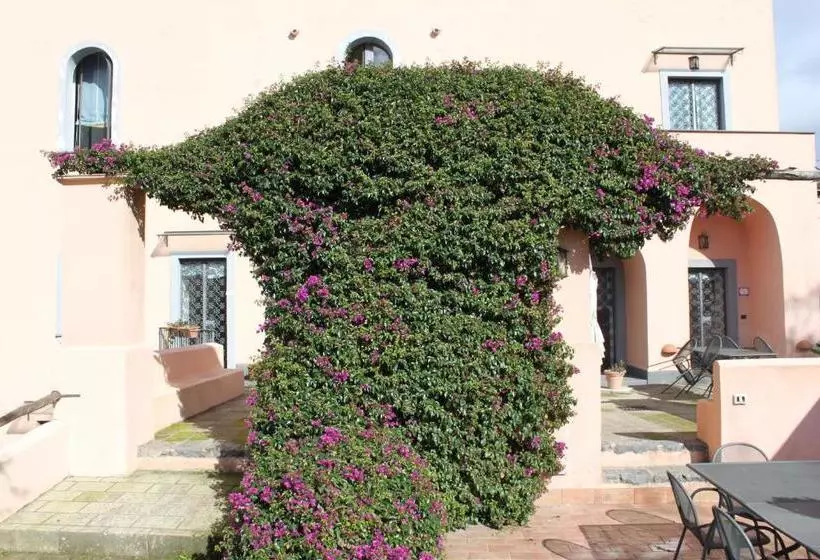 هتل Flegrea House