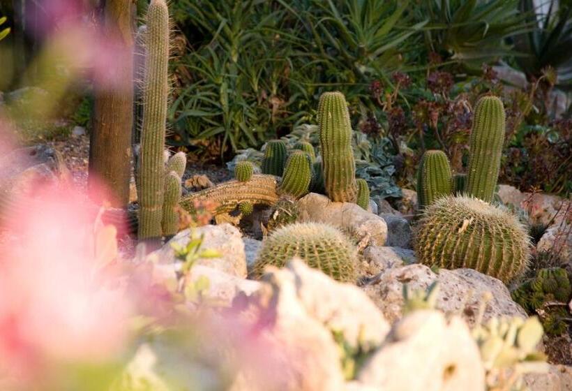 酒店 Masseria Asciano