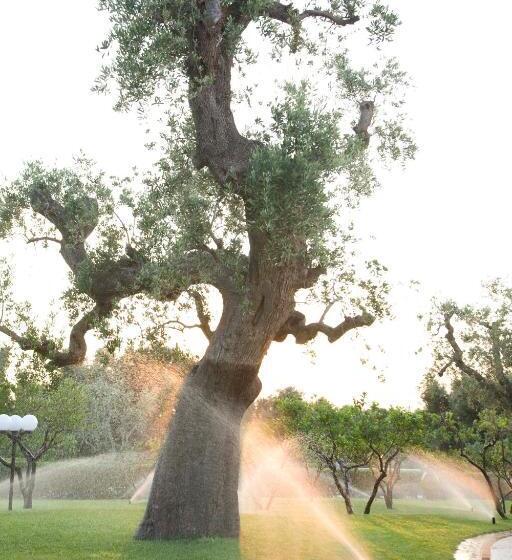 酒店 Masseria Asciano