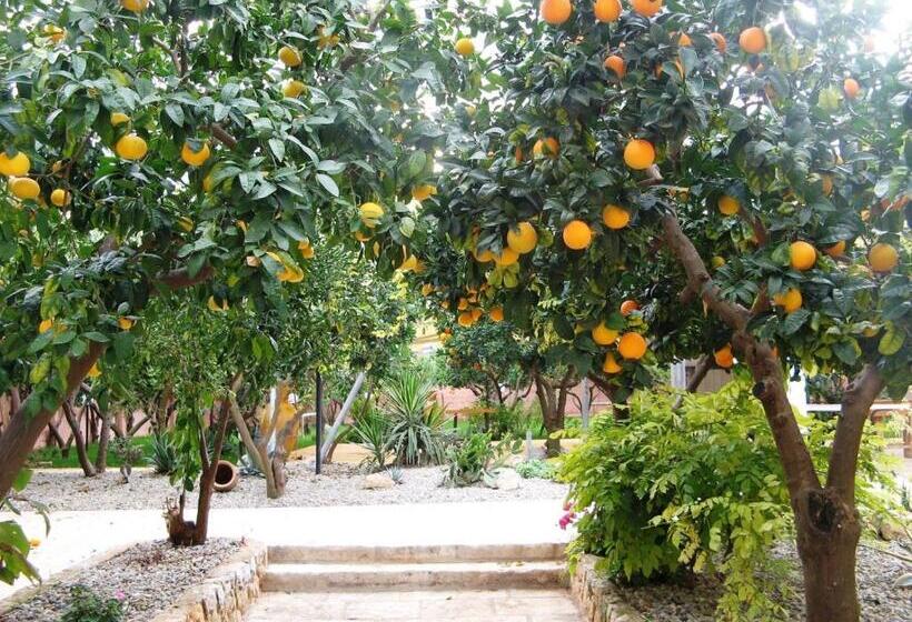 酒店 Masseria Asciano