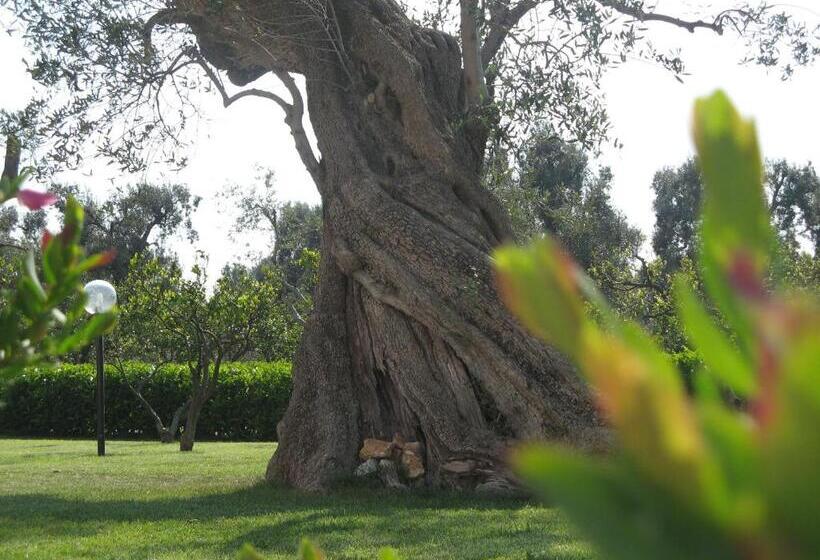 酒店 Masseria Asciano