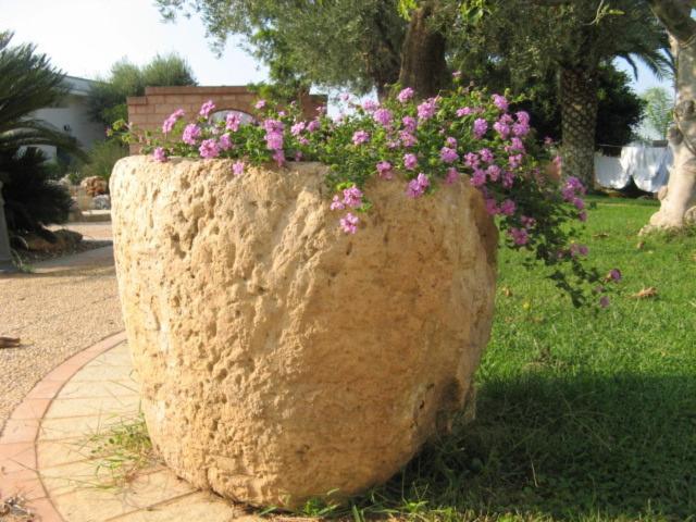 酒店 Masseria Asciano