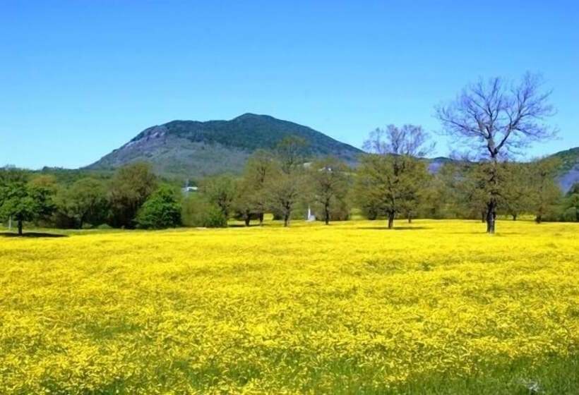 Hotel Masseria Santa Lucia
