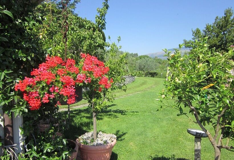 Hotel Masseria Santa Lucia