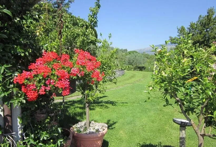 ホテル Masseria Santa Lucia