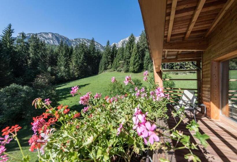 Отель Melodia Del Bosco