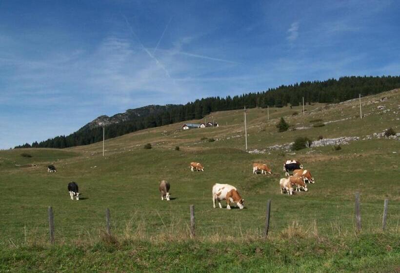 호텔 Tana Della Volpe