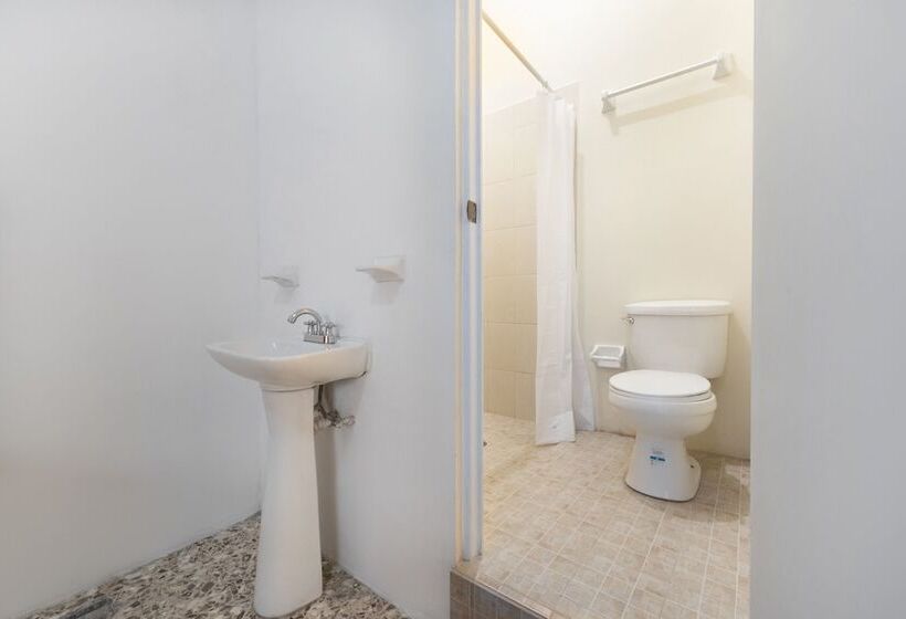 Hotel Adhoc Empresas