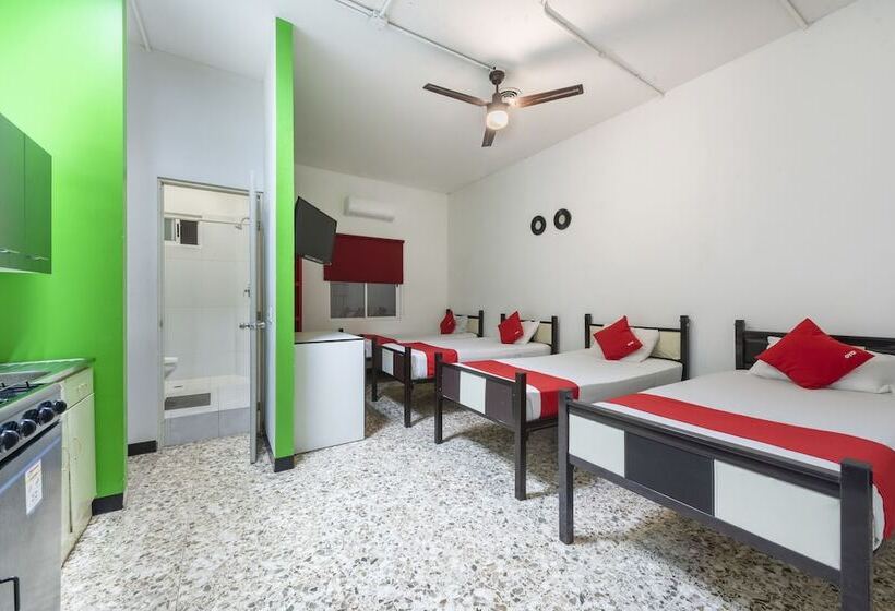 Hotel Adhoc Empresas