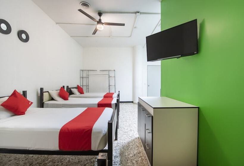 Hotel Adhoc Empresas