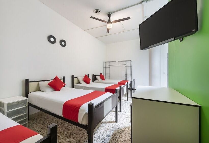 Hotel Adhoc Empresas