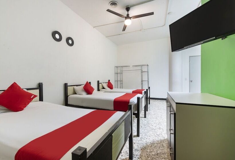 Hotel Adhoc Empresas