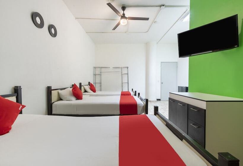 Hotel Adhoc Empresas