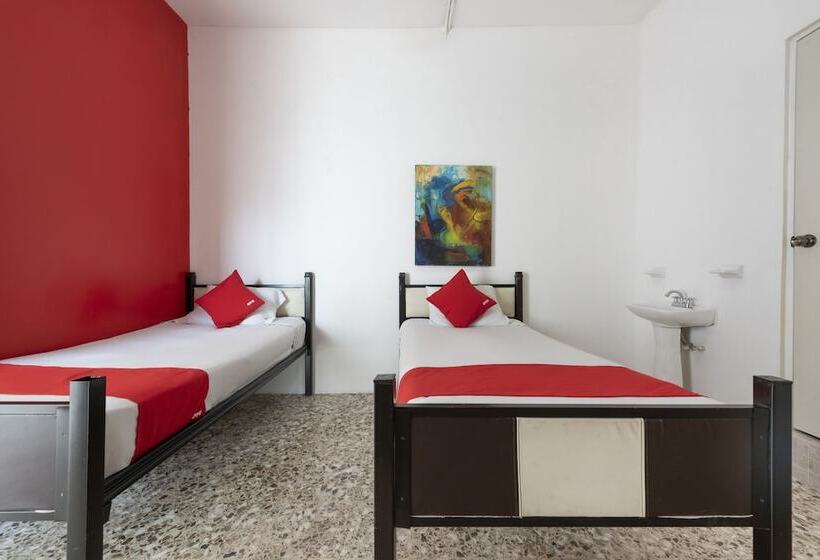 Hotel Adhoc Empresas