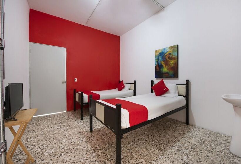 Hotel Adhoc Empresas