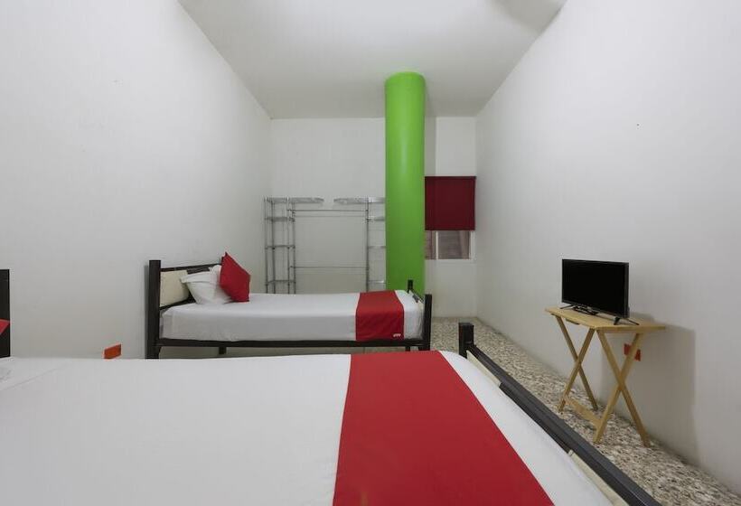 Hotel Adhoc Empresas