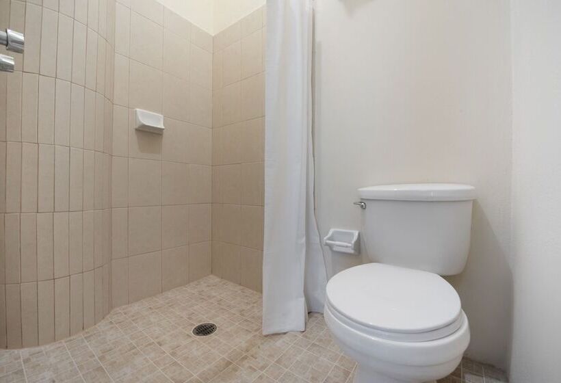 Hotel Adhoc Empresas