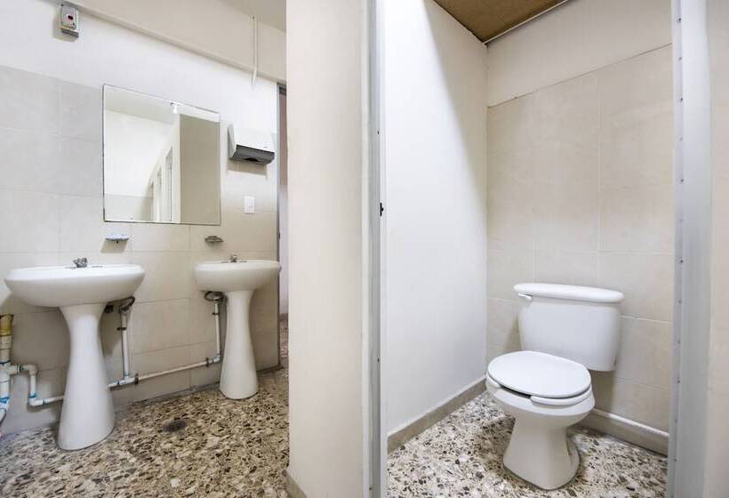 Hotel Adhoc Empresas