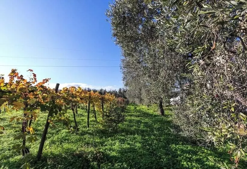 ホテル Agriturismo Posta Pastorella