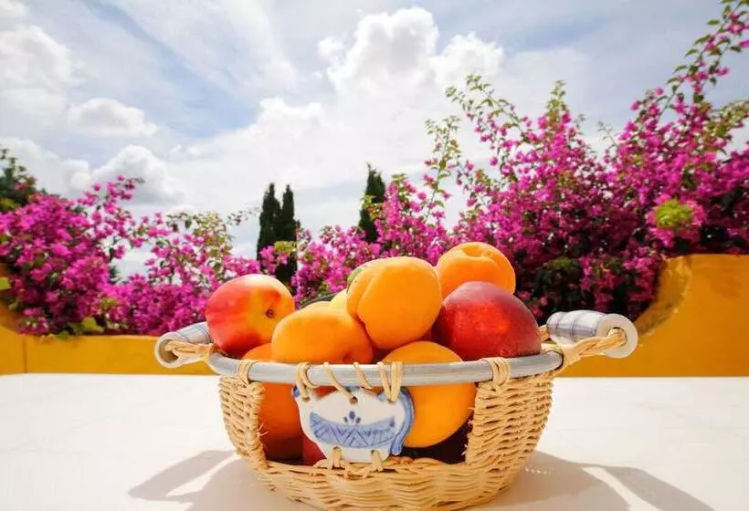 ホテル Agriturismo Posta Pastorella
