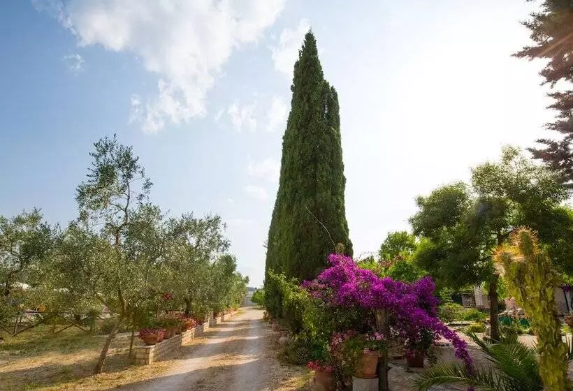 ホテル Agriturismo Posta Pastorella