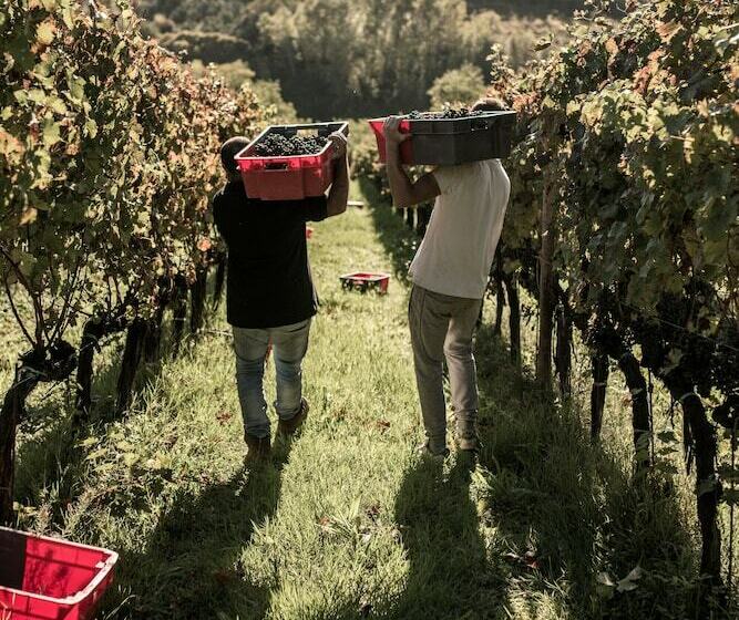 호텔 Casale Podernovo