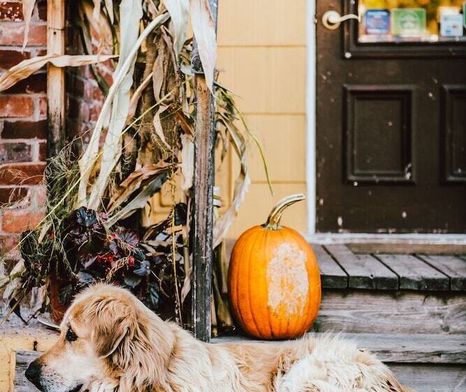 酒店 Gîte Terreciel