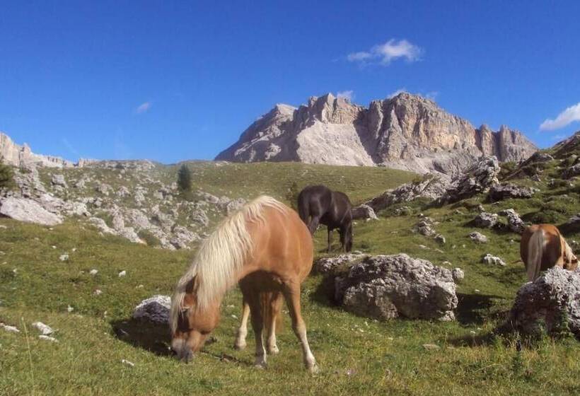 בית מלון כפרי Residence Klementhof