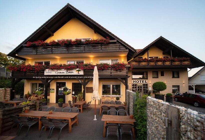 酒店 Garni Zum Grünen Baum