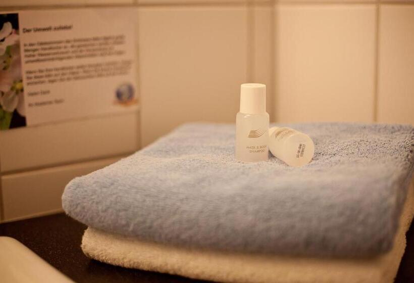 בית מלון כפרי Schloss Raesfeld