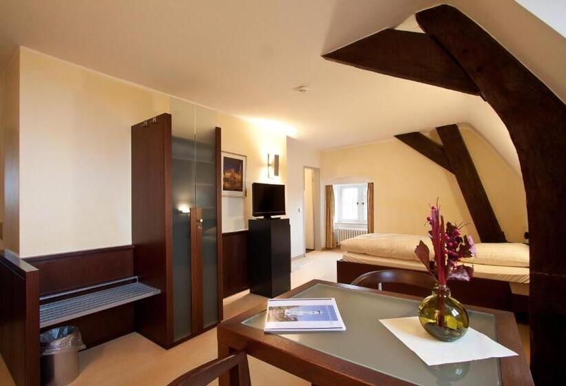 בית מלון כפרי Schloss Raesfeld