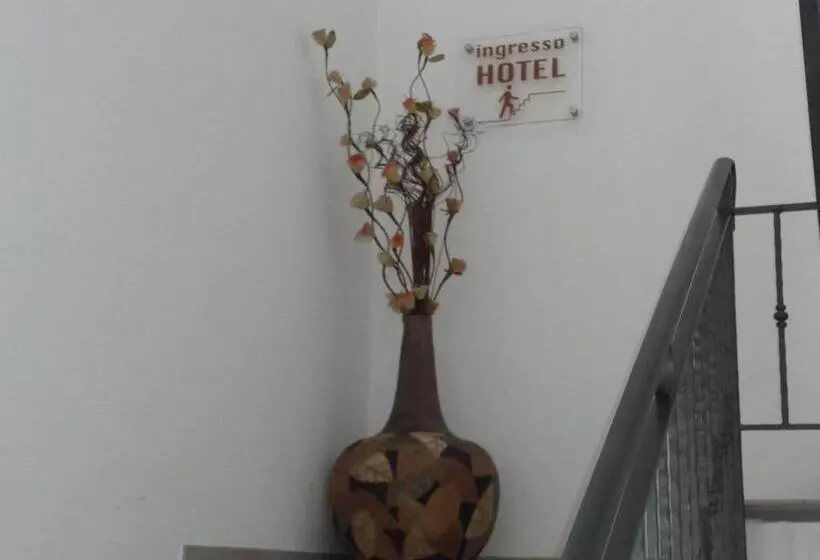 هتل Softwood
